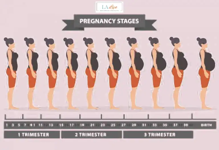 First Trimester (Weeks 1–12): Early Changes You Might Not Notice Godmanchester